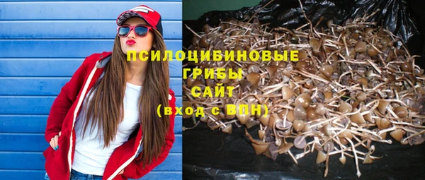 гашик Армянск