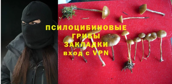 стаф Арсеньев