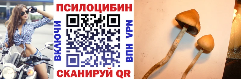 Галлюциногенные грибы Cubensis  Собинка 